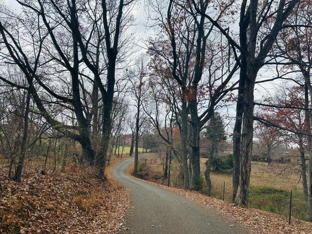 481 Hitchcock Road, Dunlap, TN 37327