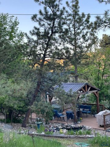 12838 MOHAWK DR, Piedmont, SD 57769