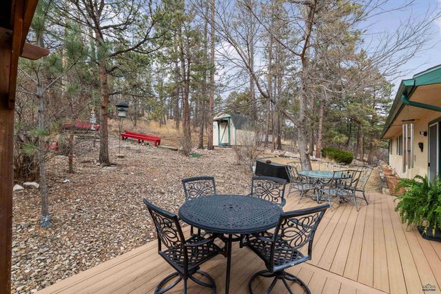 12838 MOHAWK DR, Piedmont, SD 57769