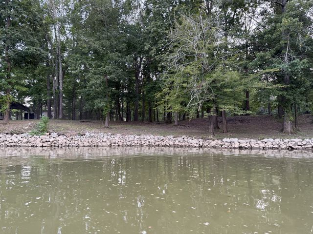 261 Lakeview Dr, Bath Springs, TN 38311