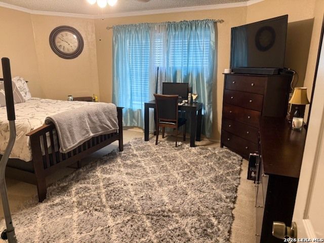 10001 Cedarbend, San Antonio, TX 78245