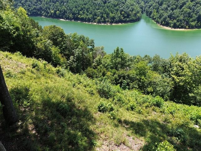 160 January Pl, Smithville, TN 37166