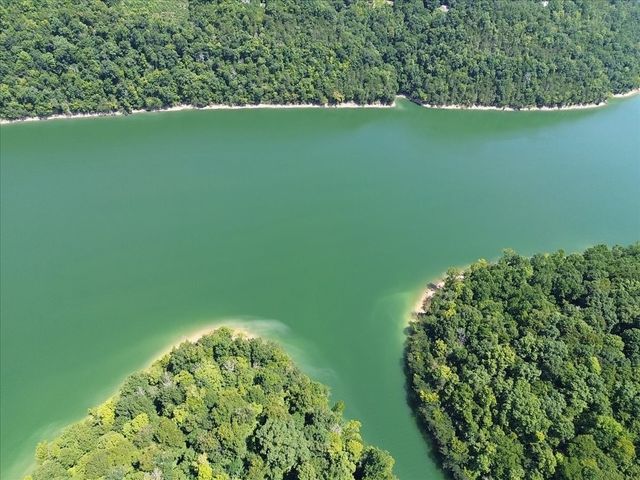 160 January Pl, Smithville, TN 37166
