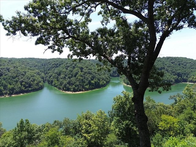 160 January Pl, Smithville, TN 37166