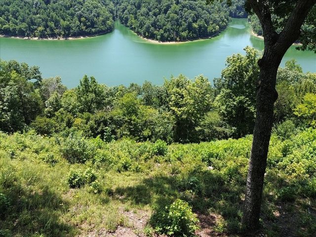 160 January Pl, Smithville, TN 37166
