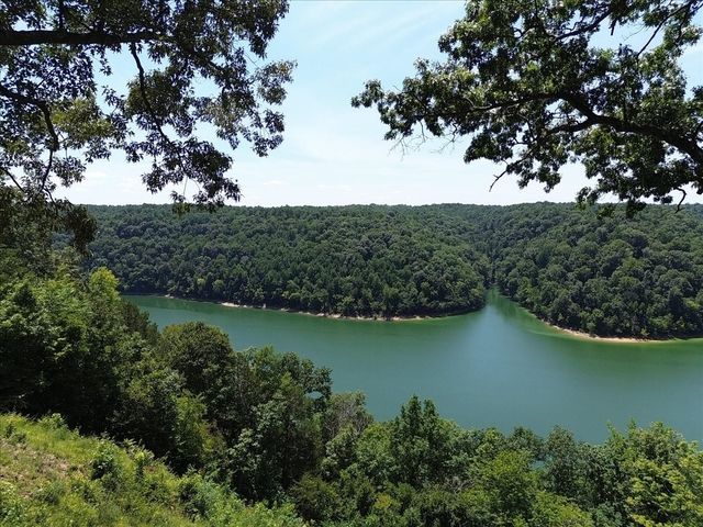 160 January Pl, Smithville, TN 37166