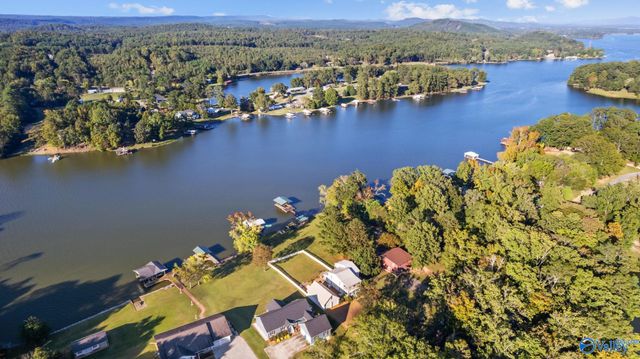 605 County Road 146, Leesburg, AL 35983