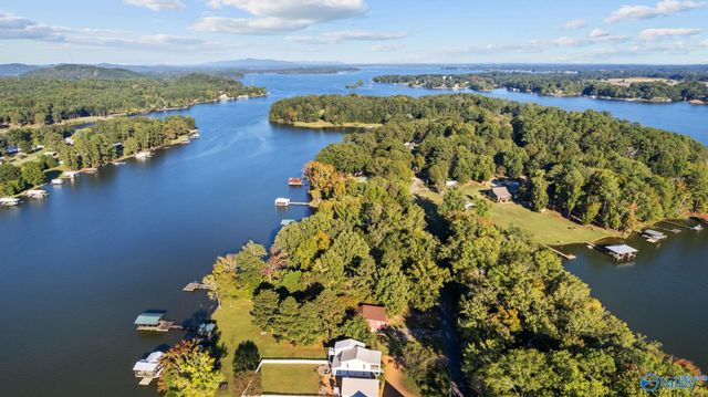 605 County Road 146, Leesburg, AL 35983