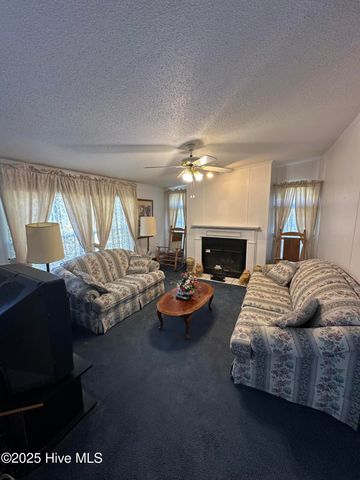 1232 Mears Lane, Clarkton, NC 28433