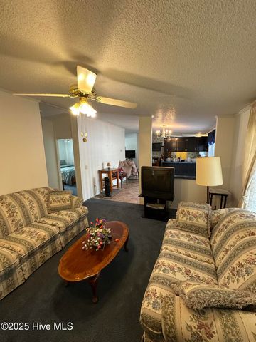 1232 Mears Lane, Clarkton, NC 28433