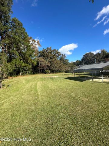 1232 Mears Lane, Clarkton, NC 28433