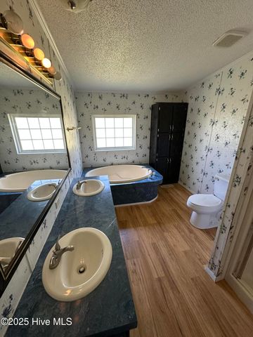 1232 Mears Lane, Clarkton, NC 28433