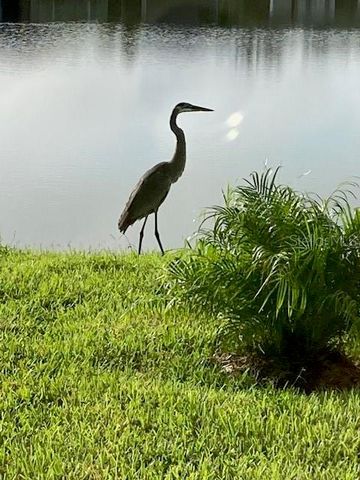 1601 DELPHI WAY, New Smyrna Beach, FL 32168