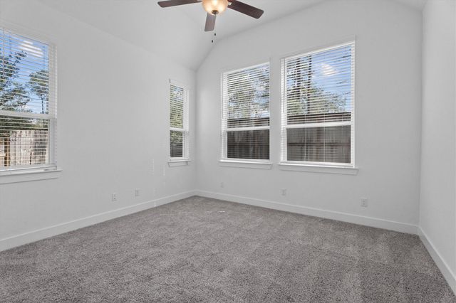 120 Red Cascade Court, Willis, TX 77318