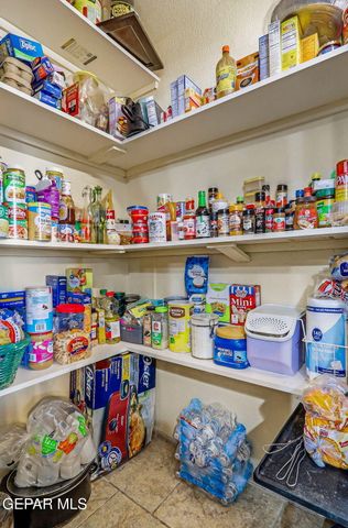 7335 BUCKHORN Street, Canutillo, TX 79835