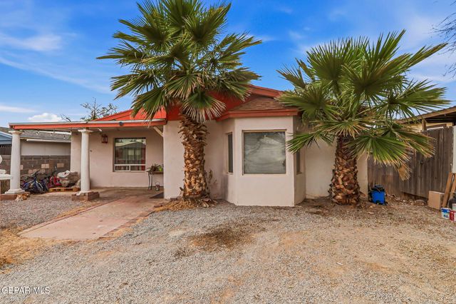 7335 BUCKHORN Street, Canutillo, TX 79835