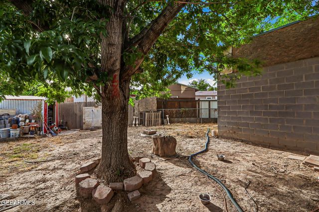 7335 BUCKHORN Street, Canutillo, TX 79835