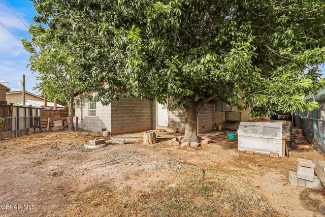7335 BUCKHORN Street, Canutillo, TX 79835
