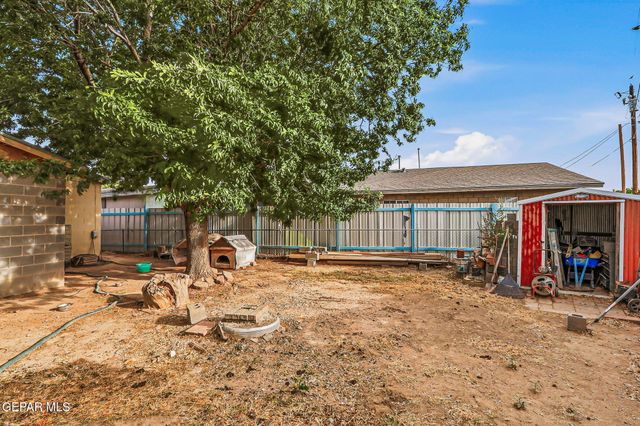 7335 BUCKHORN Street, Canutillo, TX 79835