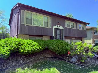 19828 Monterey Avenue, Lynwood, IL 60411