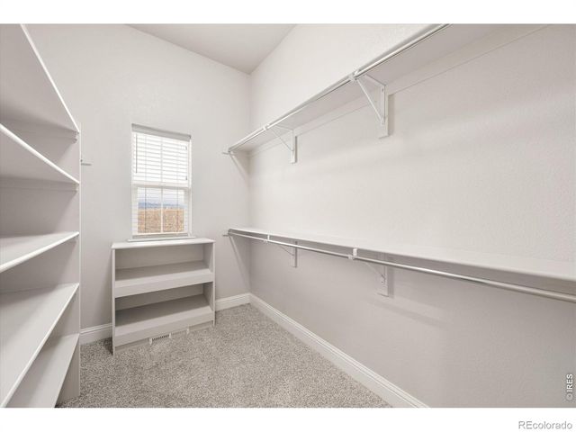 2611 Prairie Flax Street, Berthoud, CO 80513