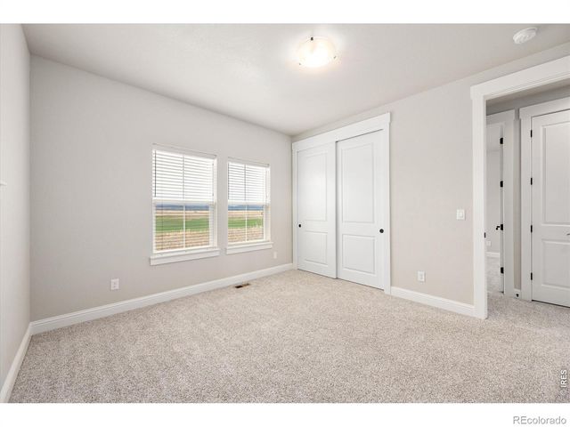 2611 Prairie Flax Street, Berthoud, CO 80513