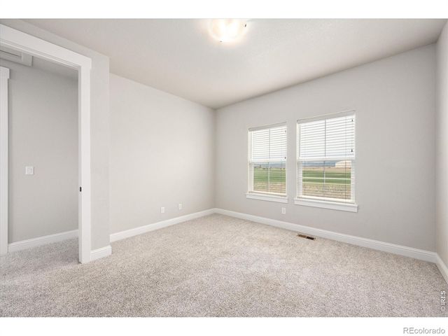 2611 Prairie Flax Street, Berthoud, CO 80513