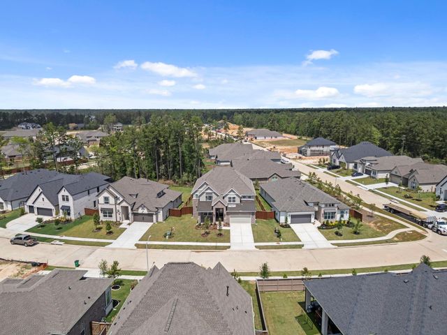 16025 Mahogany Mist Drive, Conroe, TX 77302