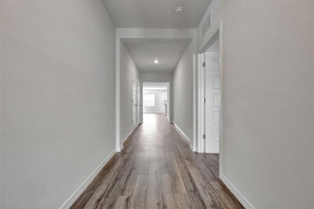 1245 ALSTONIA LANE, Mount Dora, FL 32757