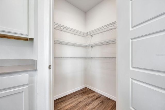 1245 ALSTONIA LANE, Mount Dora, FL 32757