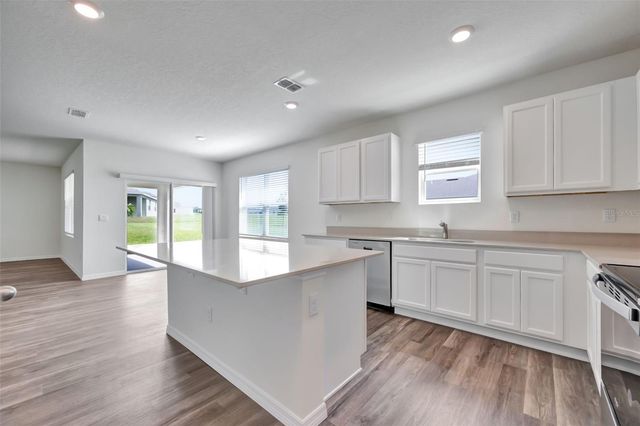 1245 ALSTONIA LANE, Mount Dora, FL 32757