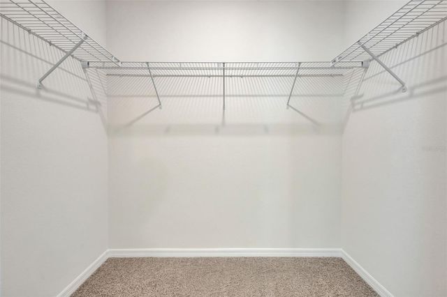 1245 ALSTONIA LANE, Mount Dora, FL 32757