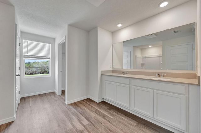 1245 ALSTONIA LANE, Mount Dora, FL 32757