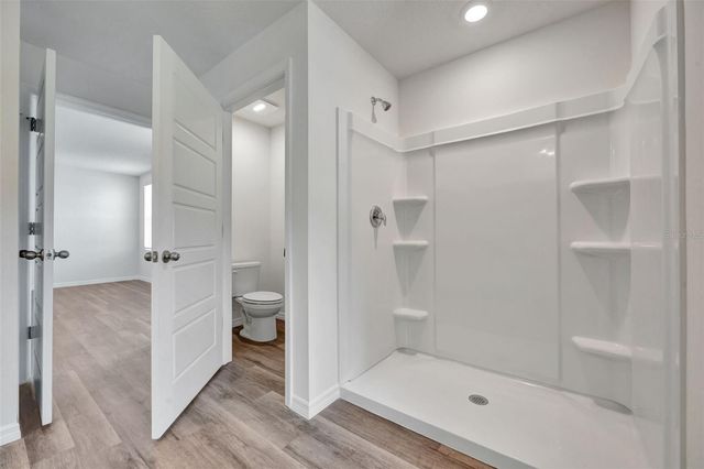 1245 ALSTONIA LANE, Mount Dora, FL 32757