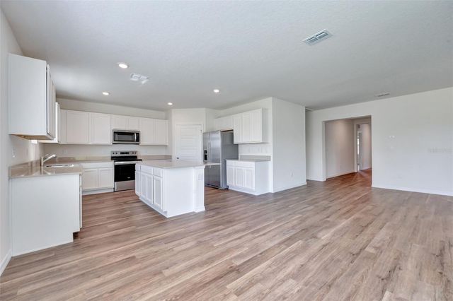 1245 ALSTONIA LANE, Mount Dora, FL 32757