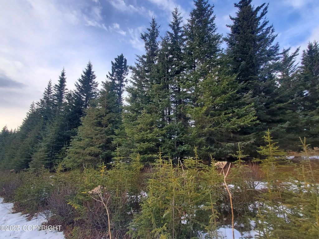 17491 Kimeluk Street, Ninilchik, AK 99639