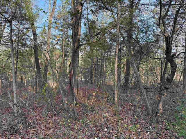 4 Golf Course Area Lots, Cherokee Village, AR 72529