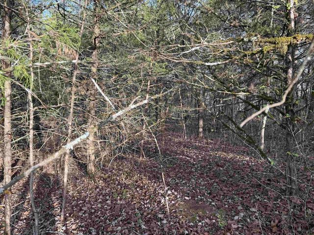 4 Golf Course Area Lots, Cherokee Village, AR 72529