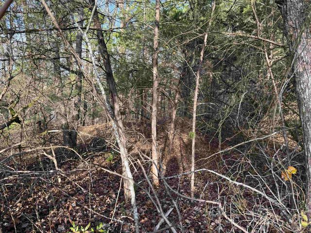 4 Golf Course Area Lots, Cherokee Village, AR 72529