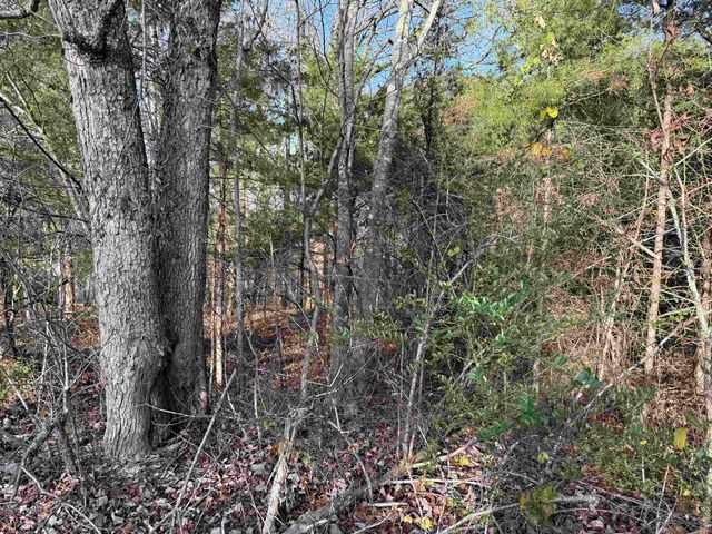 4 Golf Course Area Lots, Cherokee Village, AR 72529