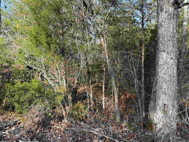 4 Golf Course Area Lots, Cherokee Village, AR 72529