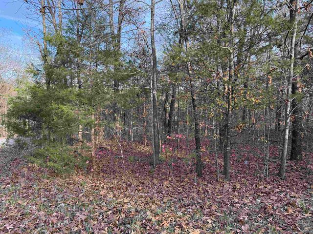 4 Golf Course Area Lots, Cherokee Village, AR 72529