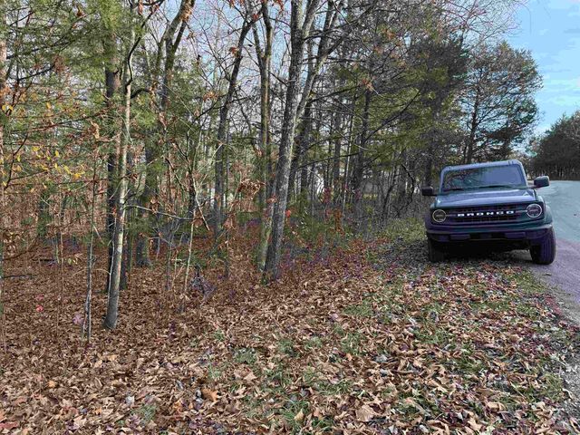 4 Golf Course Area Lots, Cherokee Village, AR 72529
