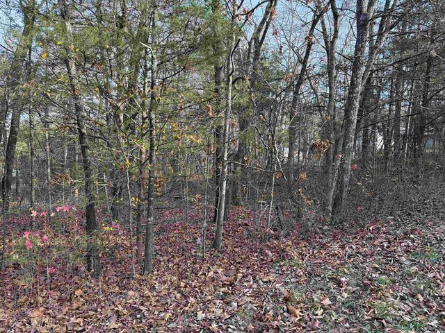 4 Golf Course Area Lots, Cherokee Village, AR 72529
