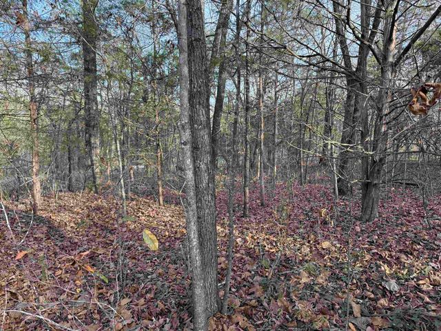4 Golf Course Area Lots, Cherokee Village, AR 72529
