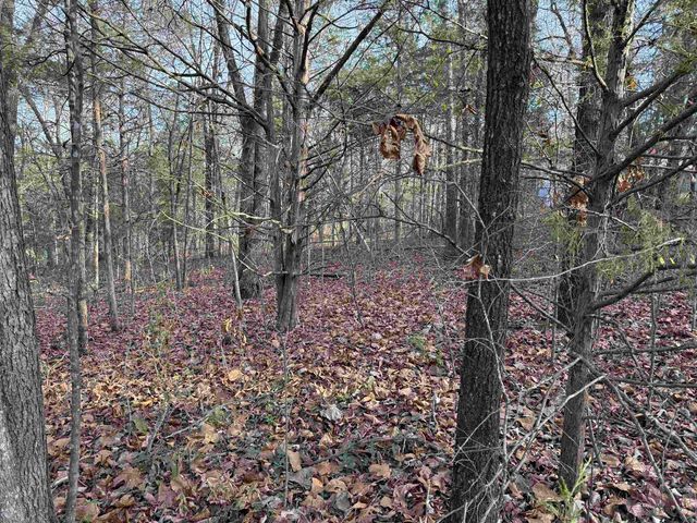 4 Golf Course Area Lots, Cherokee Village, AR 72529