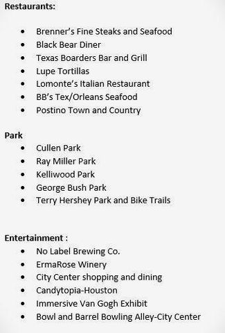 1513 Blue Acer Drive, Houston, TX 77084