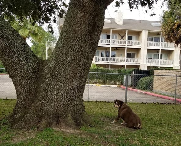 4747 E Nasa Parkway, Seabrook, TX 77586