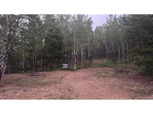 2 Mac Rock Rd, Central City, CO 80427