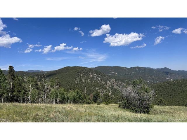 2 Mac Rock Rd, Central City, CO 80427